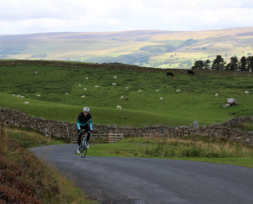Robert and Lake CX 219 at Pen Hill Wensleydale 10
