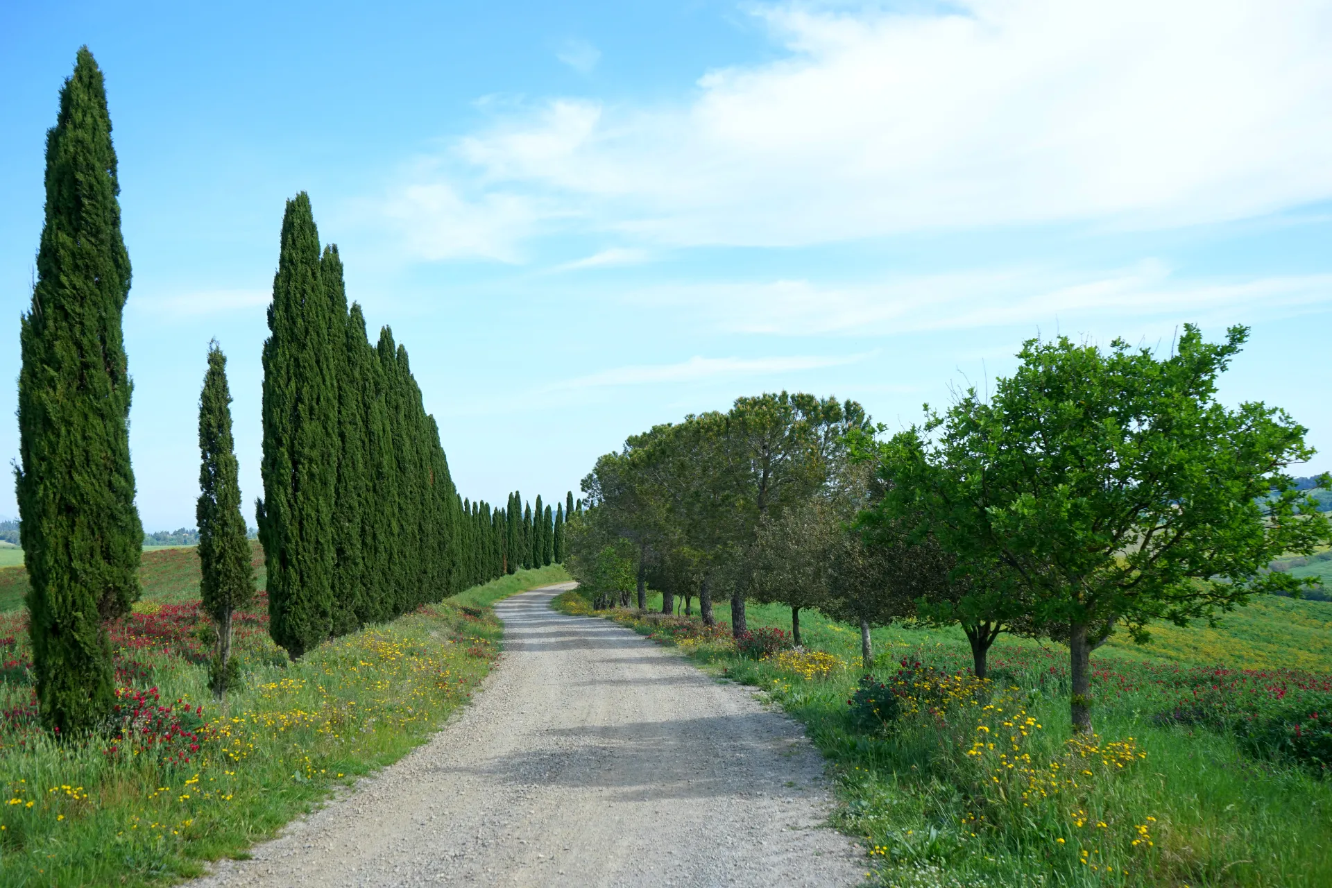 Tuscany by carlo-marzetti-FHEJADSnfuY-unsplash