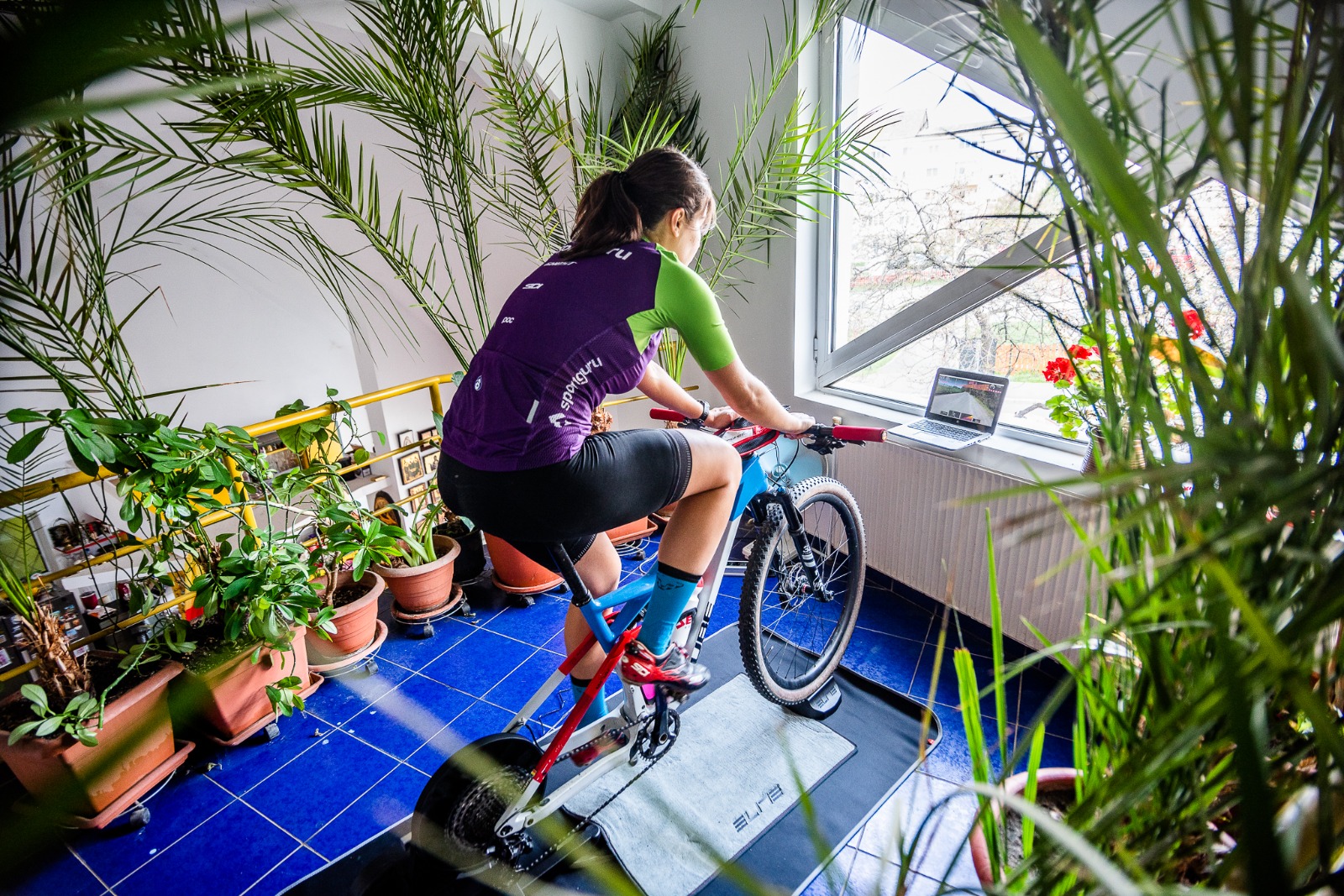 Teo indoors on Avanti trainer 1