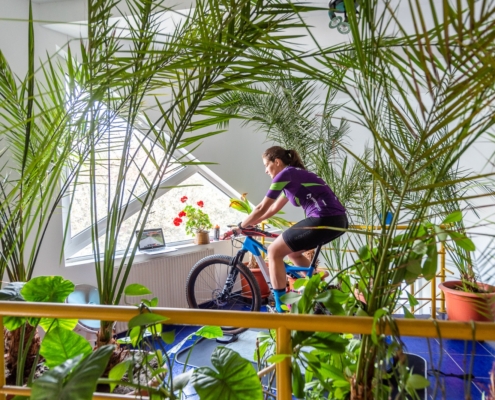 Teo indoors on Avanti trainer 2