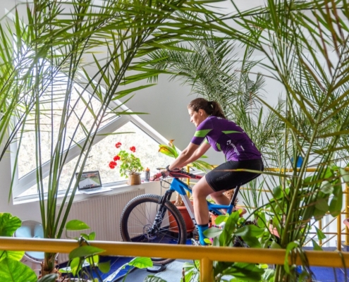 Teo indoors on Avanti trainer