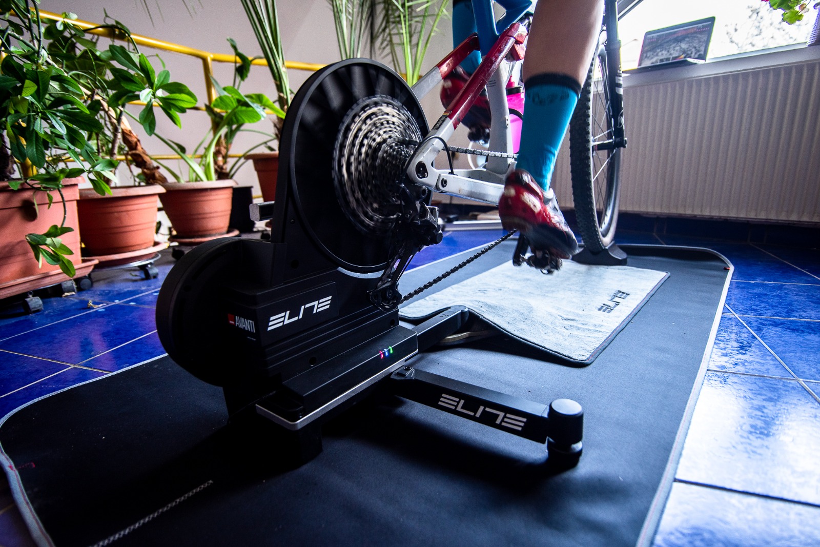 Teo indoors on Avanti trainer 5