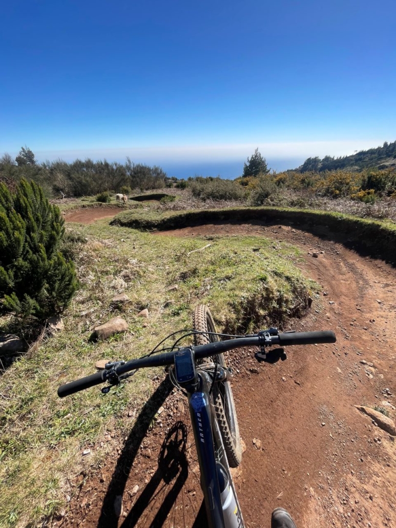 Winding trails on Madeira Alex